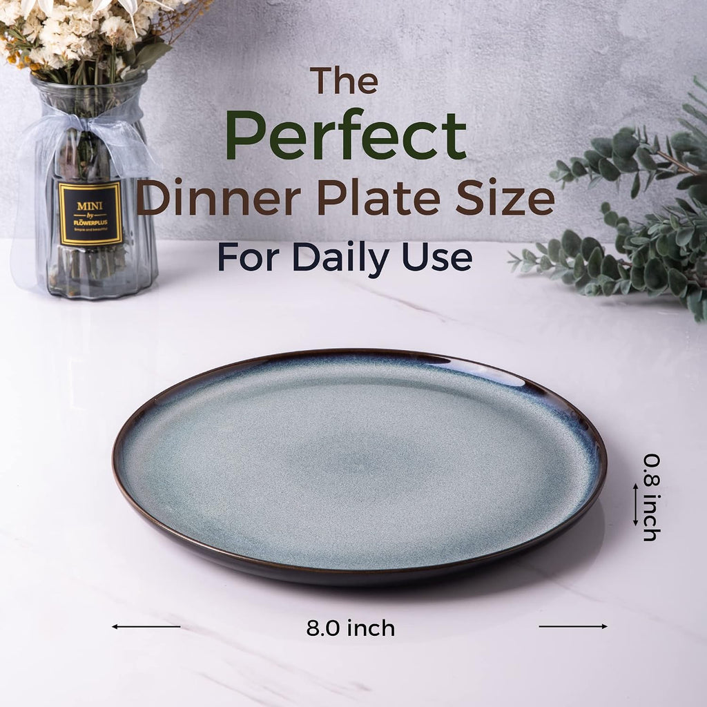 Ceramic Plate Set of 6,8.5 Inch Reactive Glaze Salad Plates | Modern Shape Dinnerware Dishes Set for Kitchen,Microwave &Dishwasher&Oven Safe